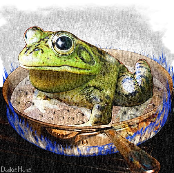 A Frog Knows When to Jump